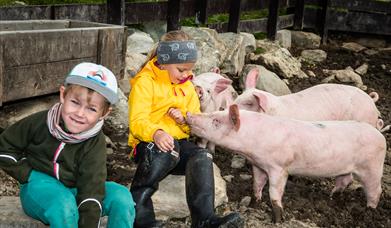 Visit any of our mountain farms: Bergstaulen Seter, Håvardsrud Seterliv and Selstali Seter