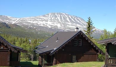 Summer at Kvitåvatn Fjellhytter