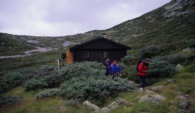 Stordalsbu, DNT's selfcatering cabin on Hardangervidda