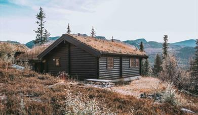 cabin at Gaustablikk Mountain Cabins and Apartments