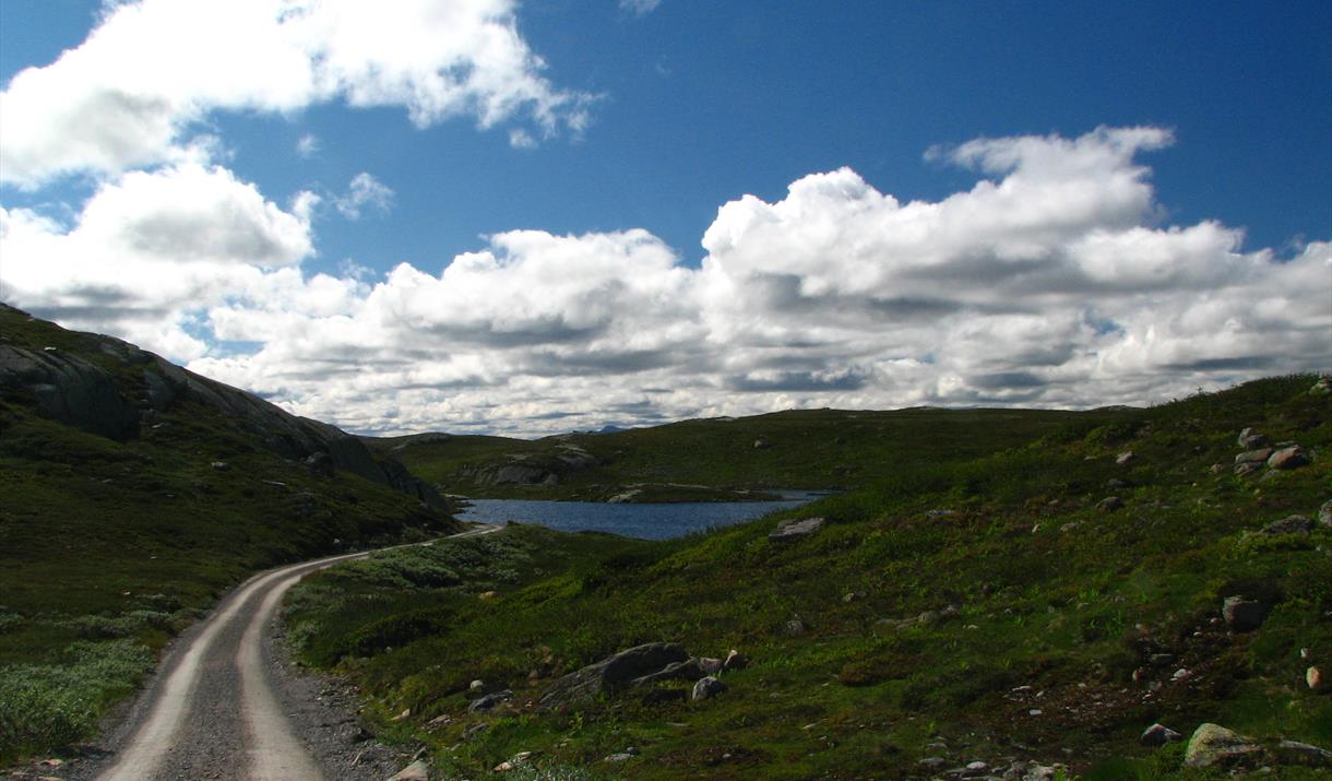 Gøystvann is one of the lakes you can fish for trouts at Hardangervidda.