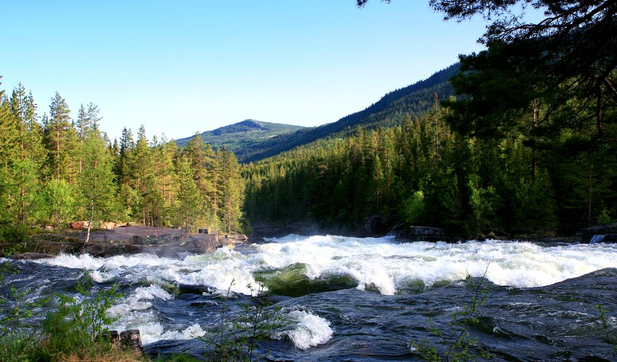 River kayaking