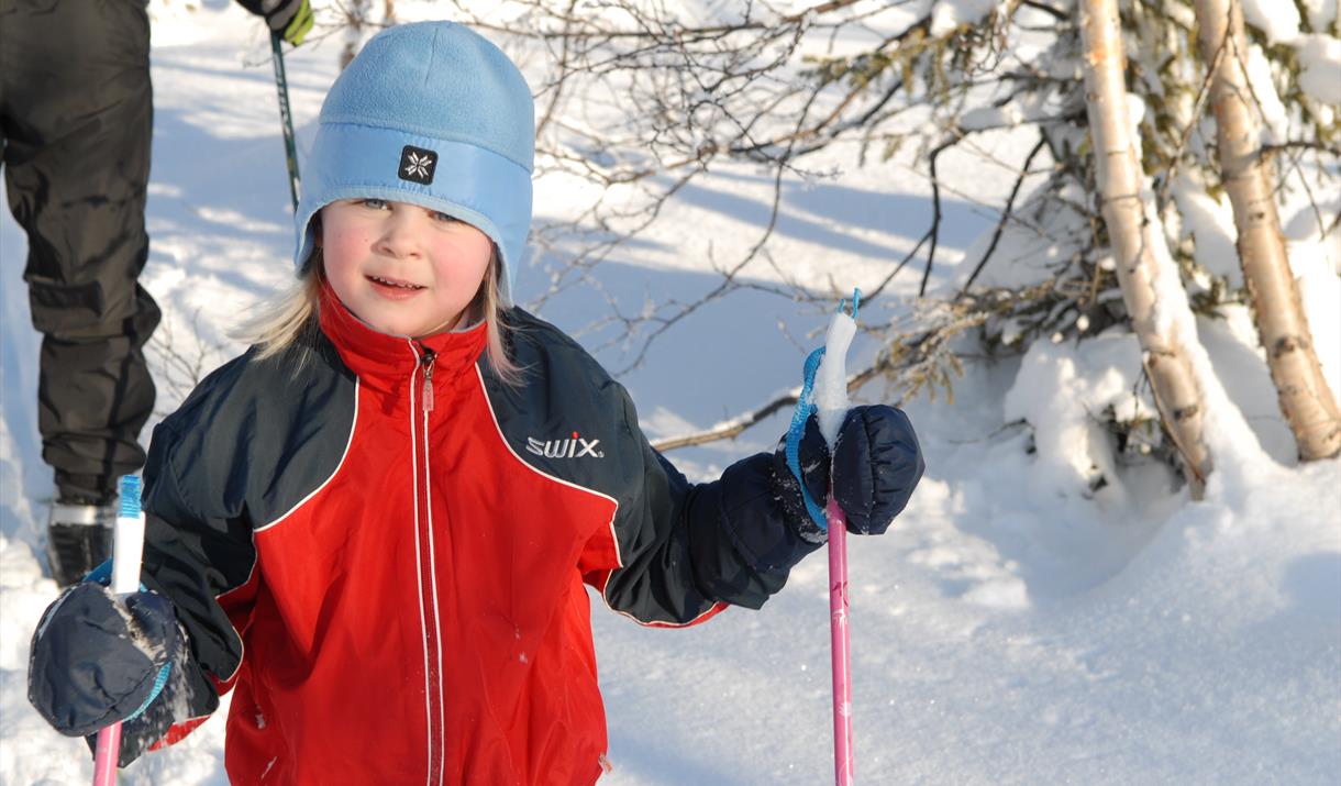 From Tessungdalen you have access to prepared cross country trails.