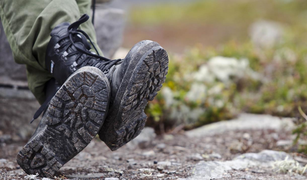 Hardangervidda is perfect for hiking during summer and cross country skiing at winter times