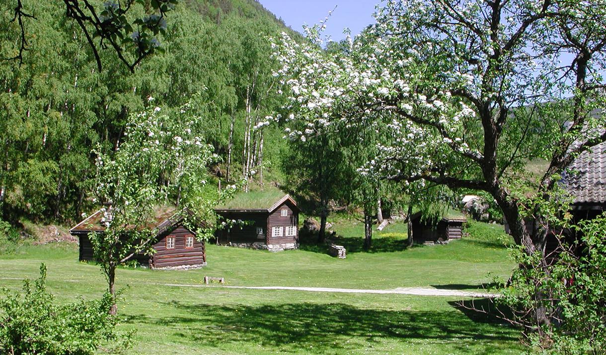 Arkivdagen