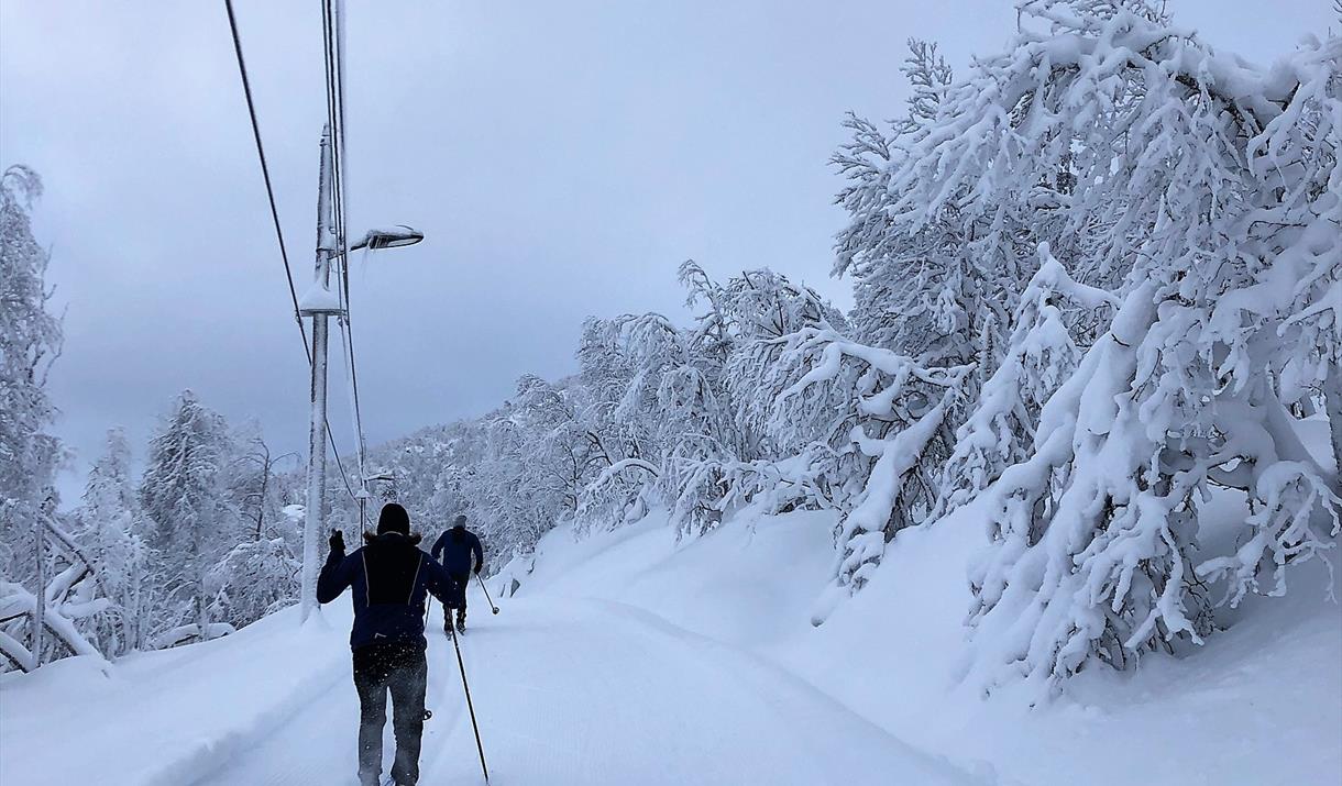 Skiing in Hjerdalen/Hyldalen