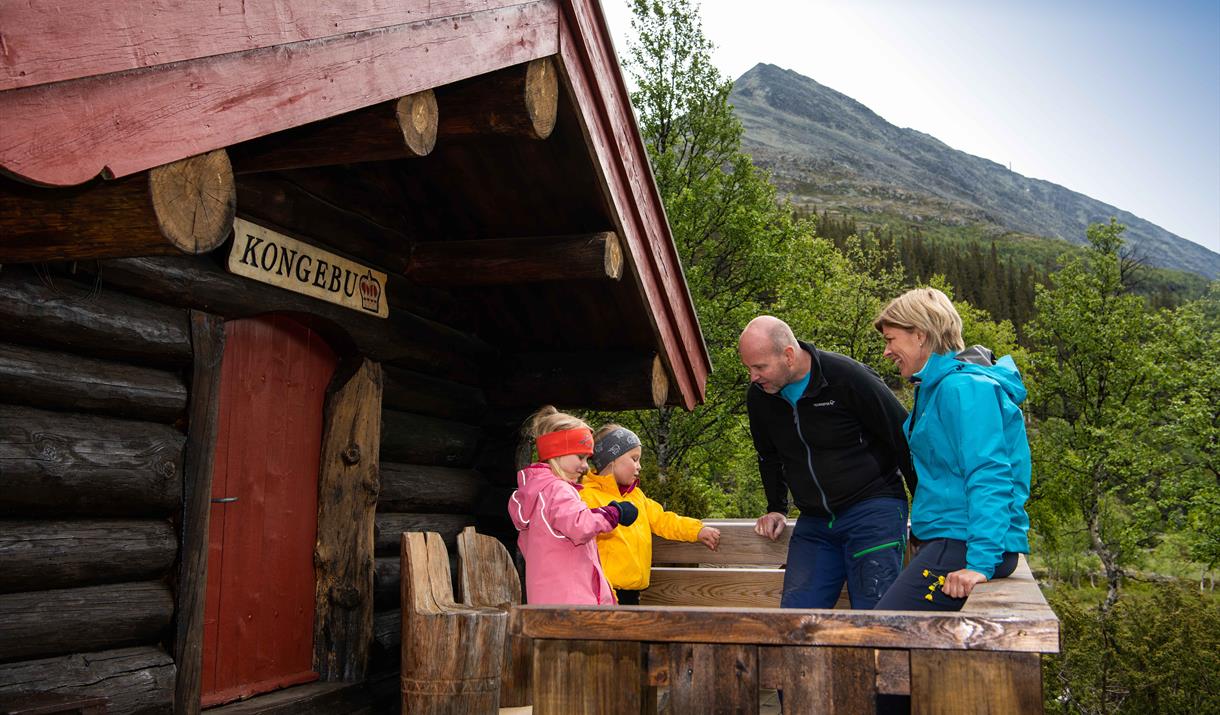 Two cosy cabins for rental at Selstali Seter