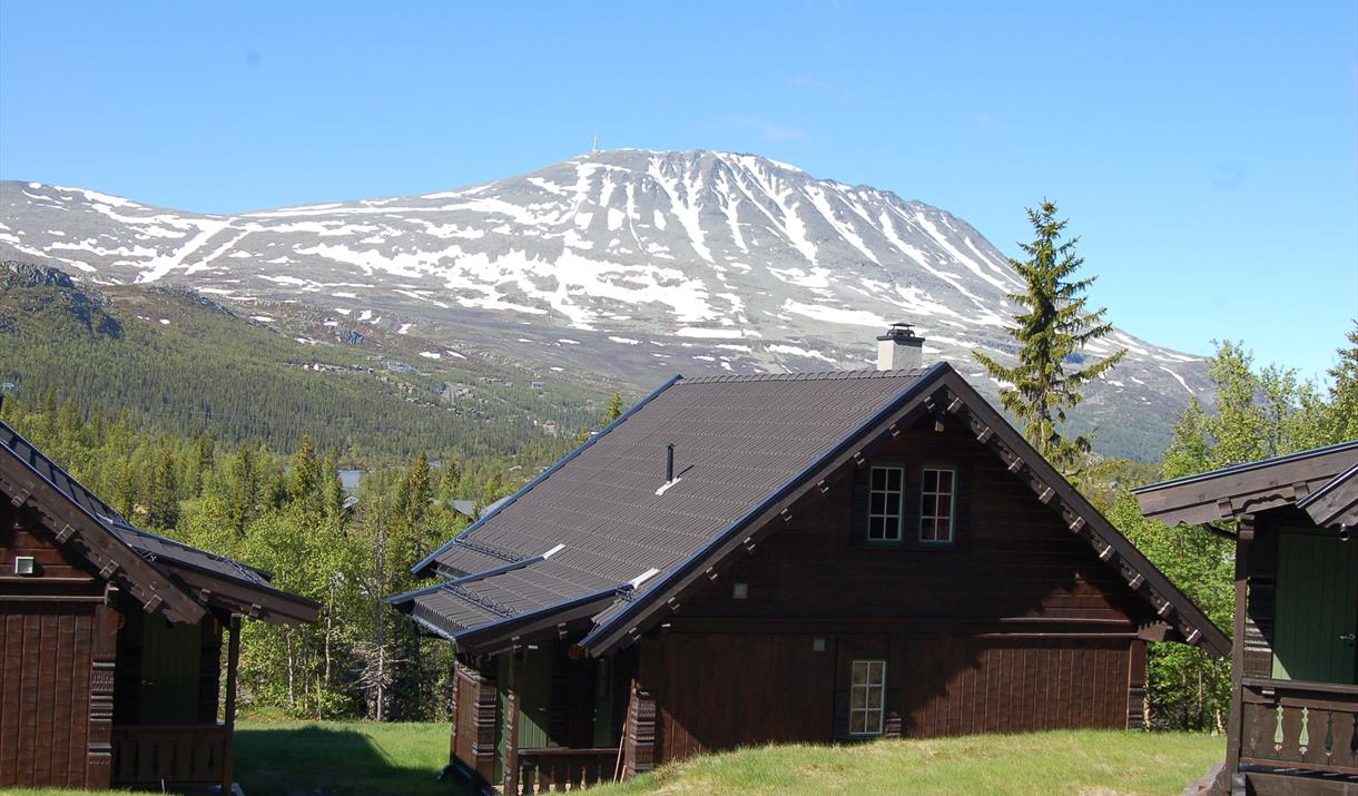 Summer at Kvitåvatn Fjellhytter