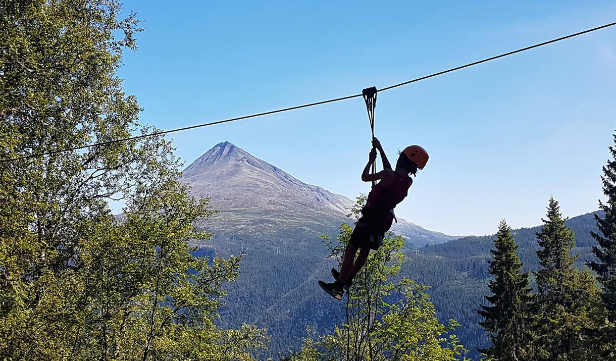 Rjukan climbing park offers great view from the tree tops.