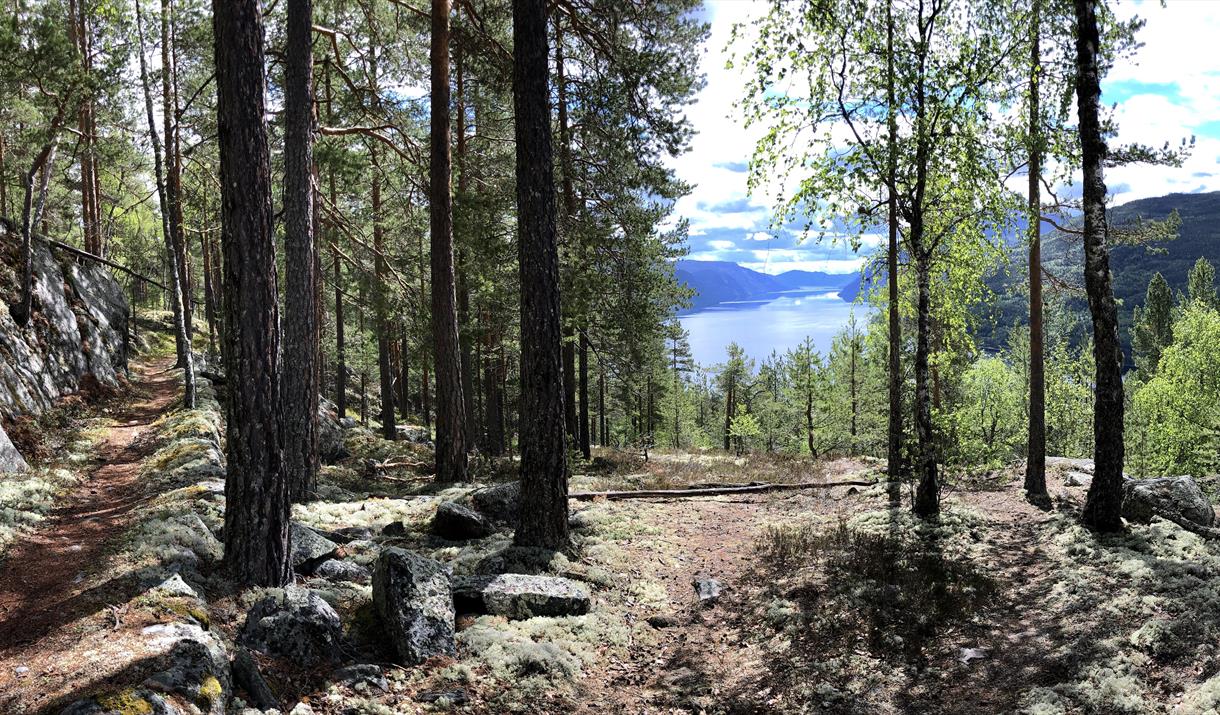 Pilegrimsvandringens Smakebit rundtur