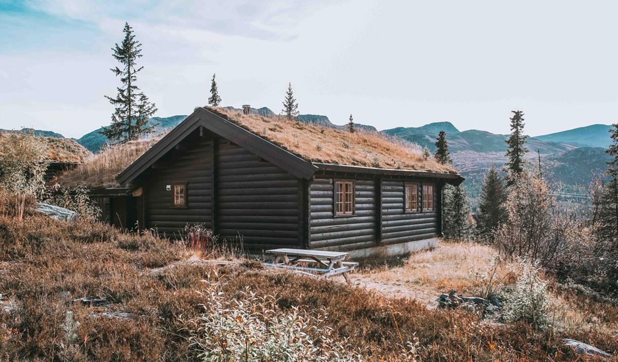 cabin at Gaustablikk Mountain Cabins and Apartments