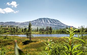 Gaustatoppen in Telemark