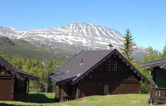 Summer at Kvitåvatn Fjellhytter