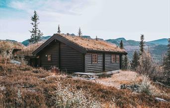 cabin at Gaustablikk Mountain Cabins and Apartments
