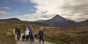 Great view towards Gaustatoppen from Solstien