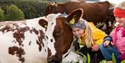 Get a close encounter with the animals