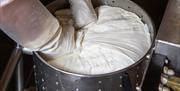 Cheese making