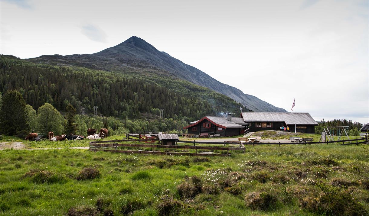 Selstali Seter is situated by the foot of Gaustatoppen