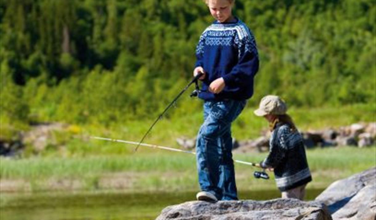 Tinn Jeger og Fiskerforening